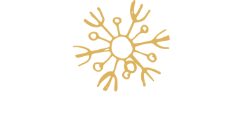 Snowflakes